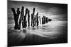 Timber Graffiti-Sobul-Mounted Photographic Print