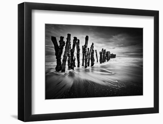 Timber Graffiti-Sobul-Framed Premium Photographic Print