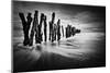 Timber Graffiti-Sobul-Mounted Premium Photographic Print