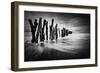 Timber Graffiti-Sobul-Framed Photographic Print