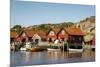 Timber Houses, Grebbestad, Bohuslan Region, West Coast, Sweden, Scandinavia, Europe-Yadid Levy-Mounted Photographic Print