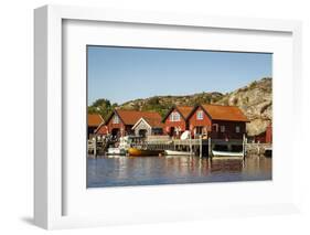 Timber Houses, Grebbestad, Bohuslan Region, West Coast, Sweden, Scandinavia, Europe-Yadid Levy-Framed Photographic Print