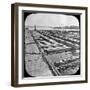 Timber Raft, Canada, Late 19th or Early 20th Century-null-Framed Photographic Print