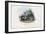 Timber Rattlesnake, 1863-79-Raimundo Petraroja-Framed Giclee Print