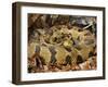 Timber Rattlesnake-null-Framed Premium Photographic Print