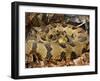 Timber Rattlesnake-null-Framed Premium Photographic Print