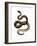 Timber Rattlesnake-null-Framed Giclee Print