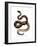 Timber Rattlesnake-null-Framed Giclee Print