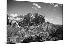 Timber Top-Laura Marshall-Mounted Photographic Print