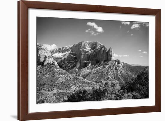 Timber Top-Laura Marshall-Framed Photographic Print