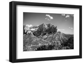 Timber Top-Laura Marshall-Framed Photographic Print