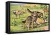 Timber Wolf and Coyote-null-Framed Stretched Canvas