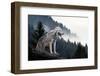 Timber Wolf Hunting in Mountain-Volodymyr Burdiak-Framed Photographic Print