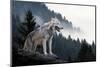 Timber Wolf Hunting in Mountain-Volodymyr Burdiak-Mounted Photographic Print