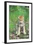 Timber Wolf Pup Sitting Down-null-Framed Photographic Print