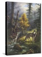 Timber Wolf-Rudi Reichardt-Stretched Canvas