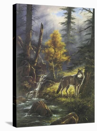 Timber Wolf-Rudi Reichardt-Stretched Canvas