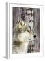 Timber Wolf-null-Framed Photographic Print