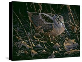 Timberdoodle-Wilhelm Goebel-Stretched Canvas