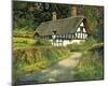 Timbered Cottage-Norman Coker-Mounted Giclee Print