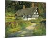Timbered Cottage-Norman Coker-Mounted Giclee Print