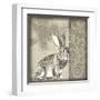 Timberland Bunny-Dorothea Taylor-Framed Art Print