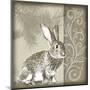 Timberland Bunny-Dorothea Taylor-Mounted Art Print