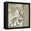 Timberland Bunny-Dorothea Taylor-Framed Stretched Canvas