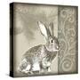 Timberland Bunny-Dorothea Taylor-Stretched Canvas