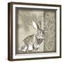 Timberland Bunny-Dorothea Taylor-Framed Art Print