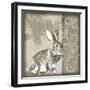 Timberland Bunny-Dorothea Taylor-Framed Art Print