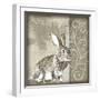 Timberland Bunny-Dorothea Taylor-Framed Art Print