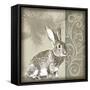 Timberland Bunny-Dorothea Taylor-Framed Stretched Canvas