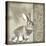 Timberland Bunny-Dorothea Taylor-Stretched Canvas