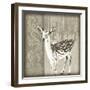 Timberland Fawn-Dorothea Taylor-Framed Art Print