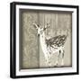 Timberland Fawn-Dorothea Taylor-Framed Art Print