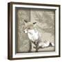 Timberland Fox-Dorothea Taylor-Framed Art Print