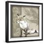 Timberland Fox-Dorothea Taylor-Framed Art Print