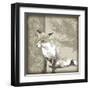 Timberland Fox-Dorothea Taylor-Framed Art Print