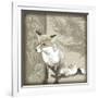 Timberland Fox-Dorothea Taylor-Framed Art Print