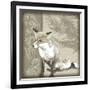 Timberland Fox-Dorothea Taylor-Framed Art Print