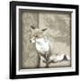 Timberland Fox-Dorothea Taylor-Framed Art Print