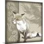 Timberland Fox-Dorothea Taylor-Mounted Art Print