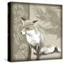 Timberland Fox-Dorothea Taylor-Stretched Canvas