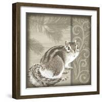 Timberland Squirrel-Dorothea Taylor-Framed Art Print