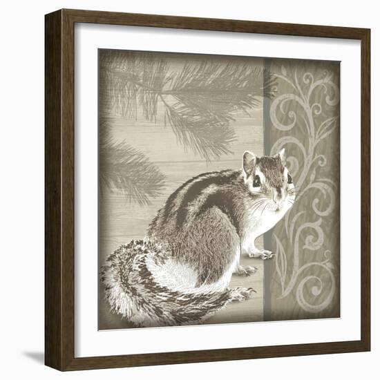 Timberland Squirrel-Dorothea Taylor-Framed Art Print