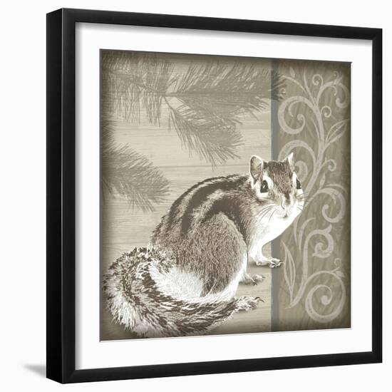 Timberland Squirrel-Dorothea Taylor-Framed Art Print