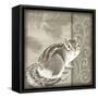 Timberland Squirrel-Dorothea Taylor-Framed Stretched Canvas