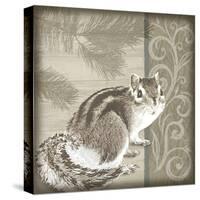 Timberland Squirrel-Dorothea Taylor-Stretched Canvas