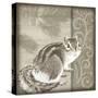 Timberland Squirrel-Dorothea Taylor-Stretched Canvas